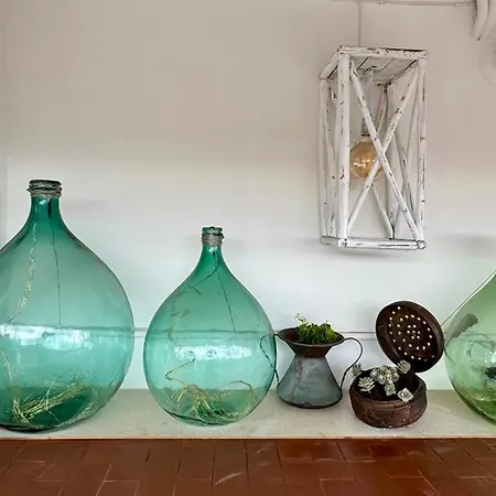 La Terrazza Sul Corso Daire *